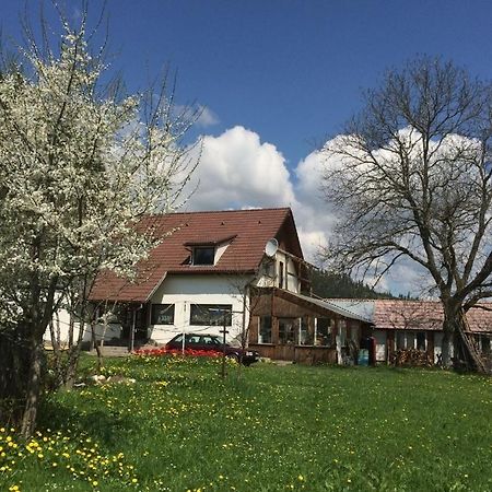 Karacsony Guest House Lunca de Sus Exteriör bild