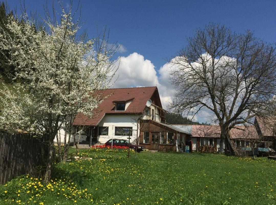 Karacsony Guest House Lunca de Sus Exteriör bild